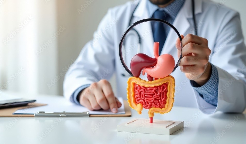 cáncer de colon