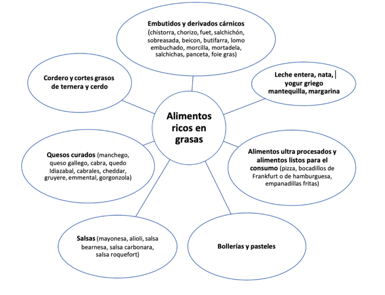 alimentos ricos en grasas
